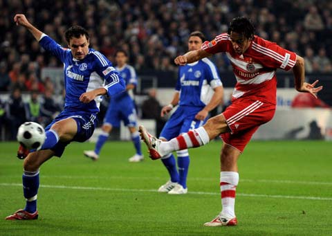 依靠从本土 依靠从本土